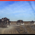 2020: Niger – Allarme Sahel