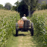 La riforma della Politica Agricola (PAC)