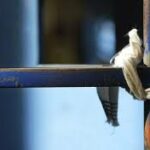 I suicidi nelle carceri italiane