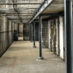 41BIS – PARTITO RADICALE : LO STATO NON PUÒ TRATTARE GLI UOMINI DELLA MAFIA COME LORO TRATTANO GLI UOMINI DELLO STATO, ALTRIMENTI SI CONFONDONO I PRINCIPI FONDANTI DELLO STATO CON QUELLI DELLA MAFIA. ALFREDO COSPITO STA VINCENDO LA LOTTA CONTRO LO STATO PERCHE’ IL REGIME NON E’ CAPACE DI DARE UNA RISPOSTA POLITICA AD UNA LOTTA SENZA VIA D’USCITA.